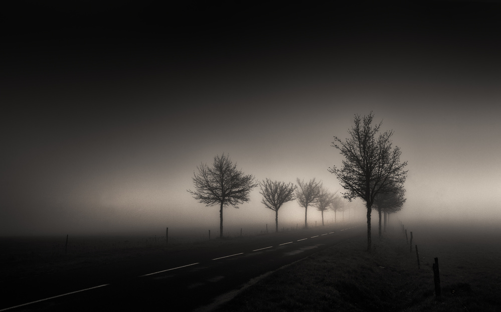 Comes a time von Elisabeth van Helden