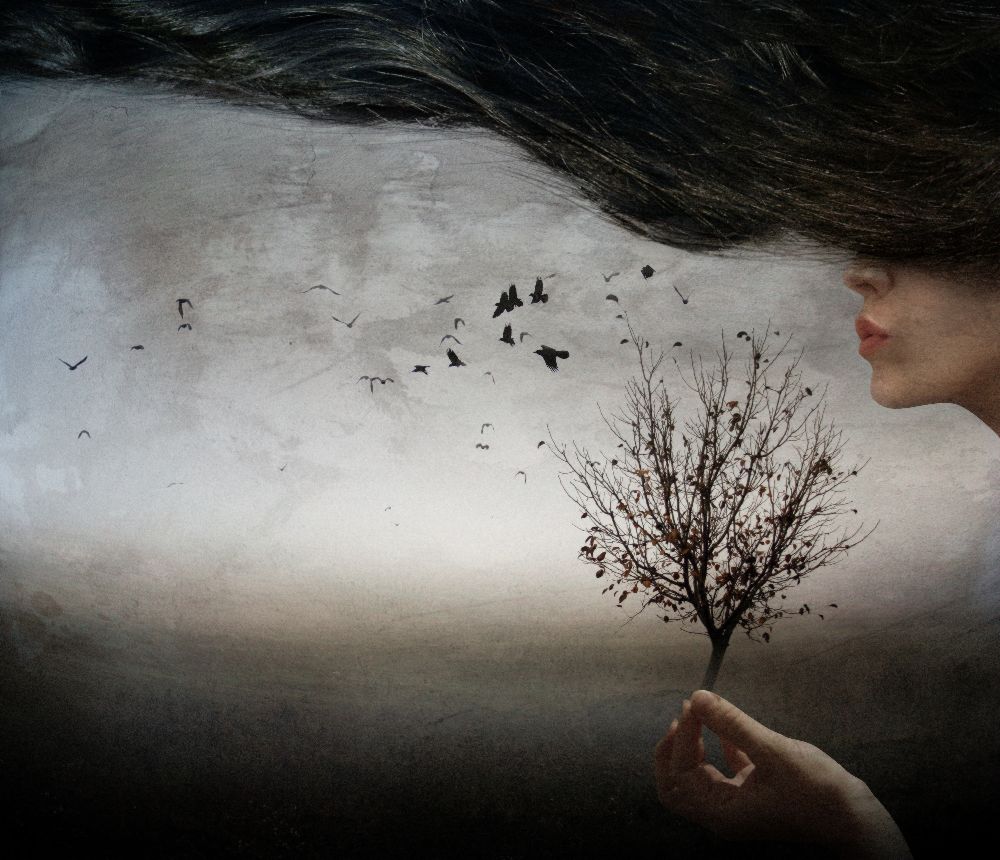 Herbststimmung von Elisaveta Jordanova