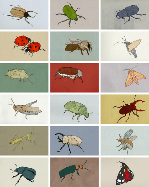 Insects von Eliza Southwood