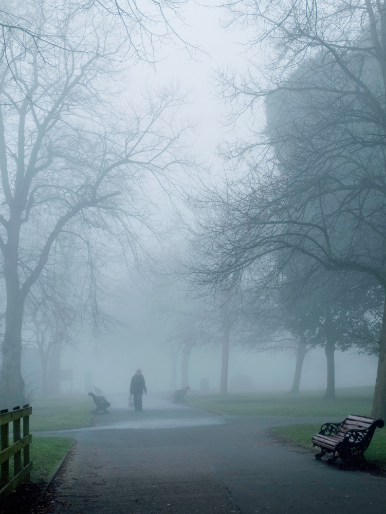 City Fog von Elizabeth Allen