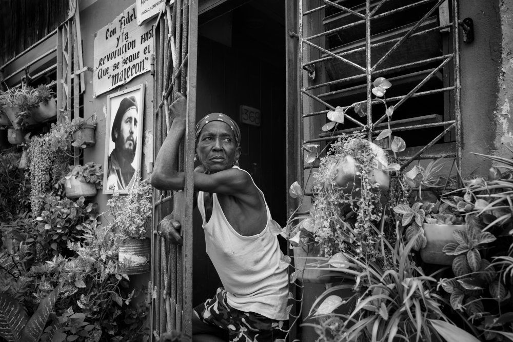 Fidel and the Revolution von Elizabeth Cowle