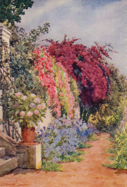 Bougainvillea and Roses, Welgelegen, Rosebank von Elizabeth Drake