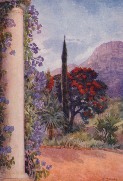 Dark-red Eucalyptus and Solanum Wendlandii at Paradise, Claremont von Elizabeth Drake