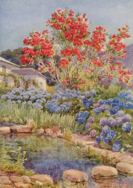Hydrangeas by the Water, Bishopscourt, near Cape Town von Elizabeth Drake