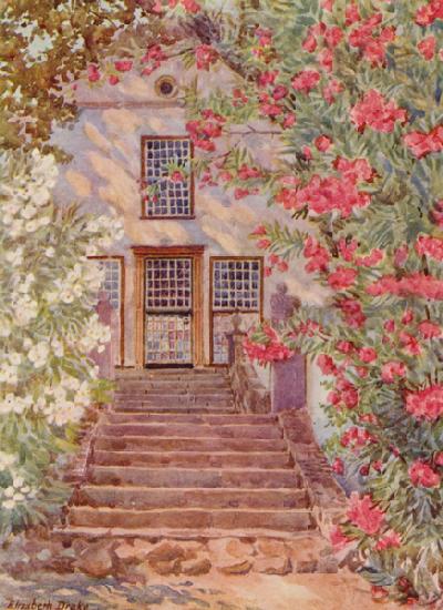 Pink and White Oleanders, Alphen, Wynberg