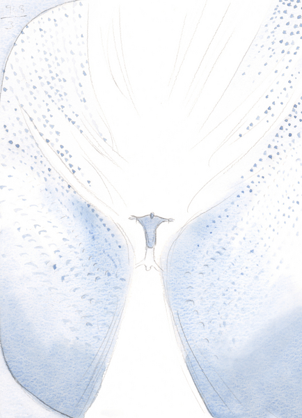 Our Blessed Lady was joyful when they parted at the Ascension, since Christ left to take His place i von Elizabeth  Wang