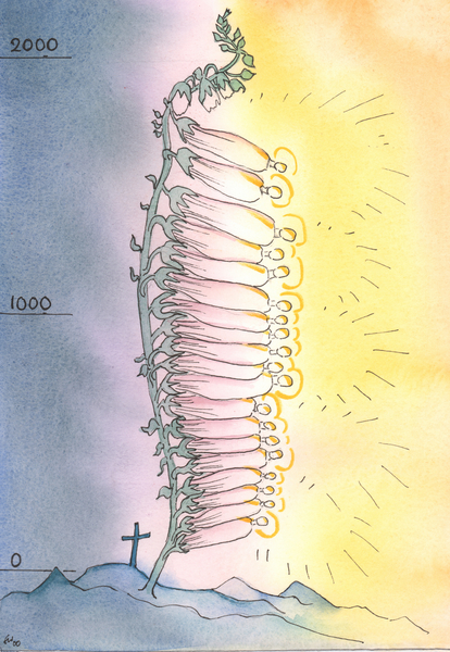 The Church puts out living shoots of holiness to flower in every age von Elizabeth  Wang