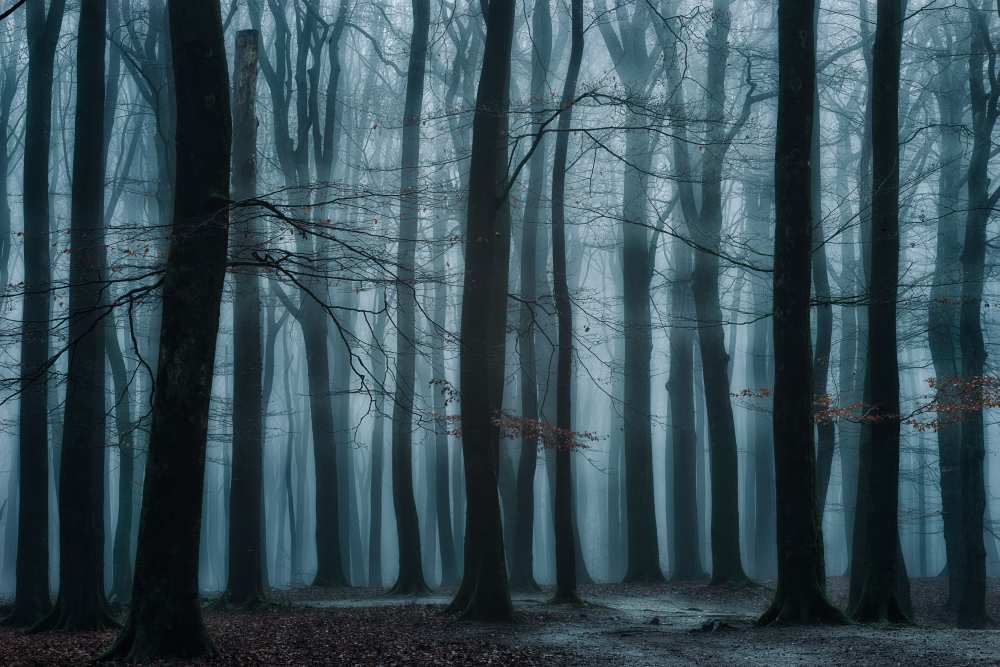 All Of Us von Ellen Borggreve