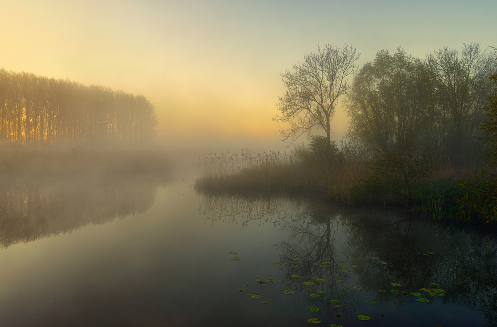 Natures Painting von Ellen Borggreve