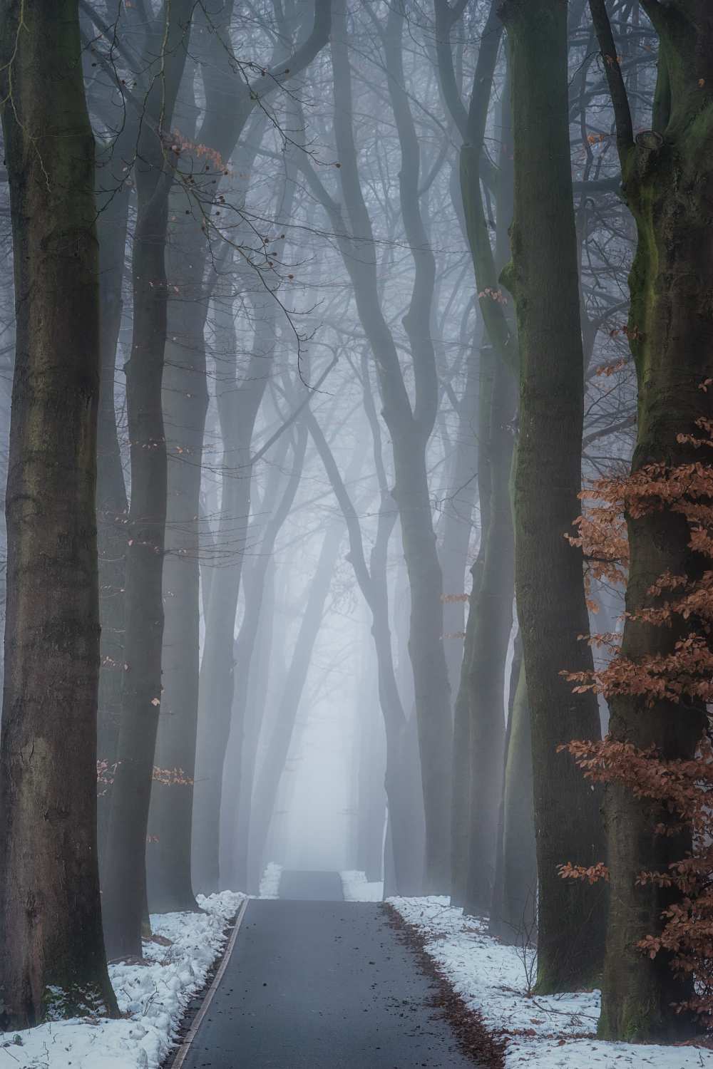 Up And Down von Ellen Borggreve