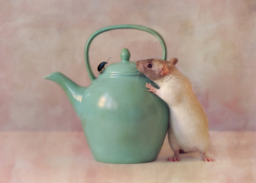 The Teapot von Ellen Van Deelen