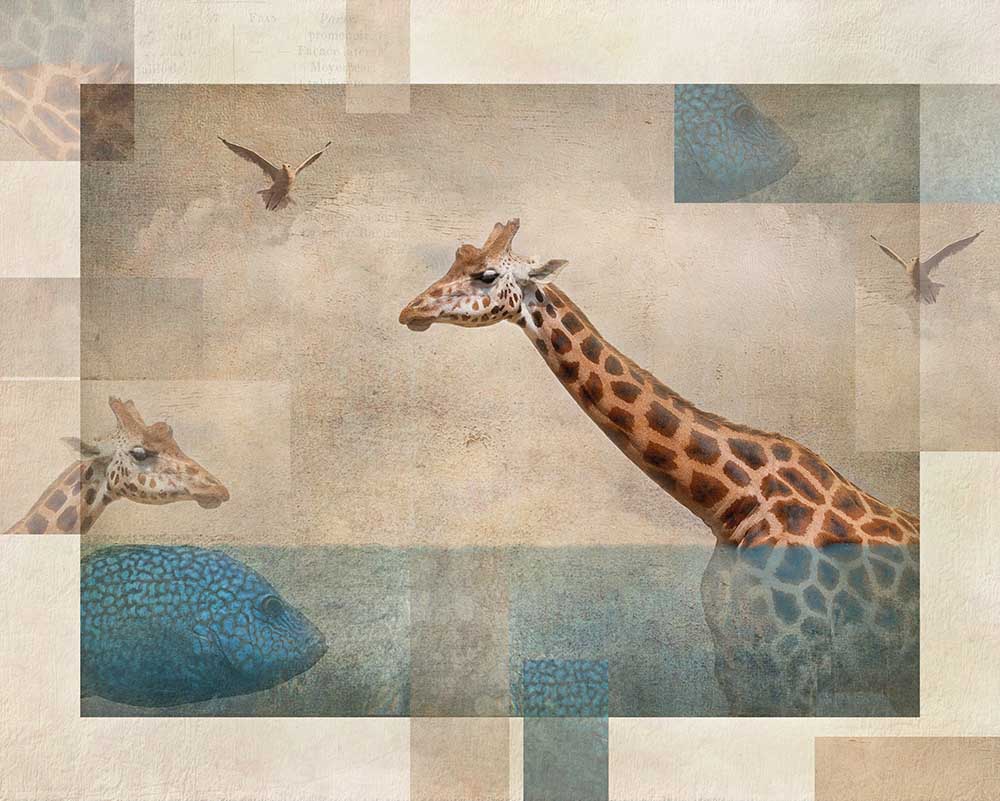 Fantasie.... von Ellen Van Deelen