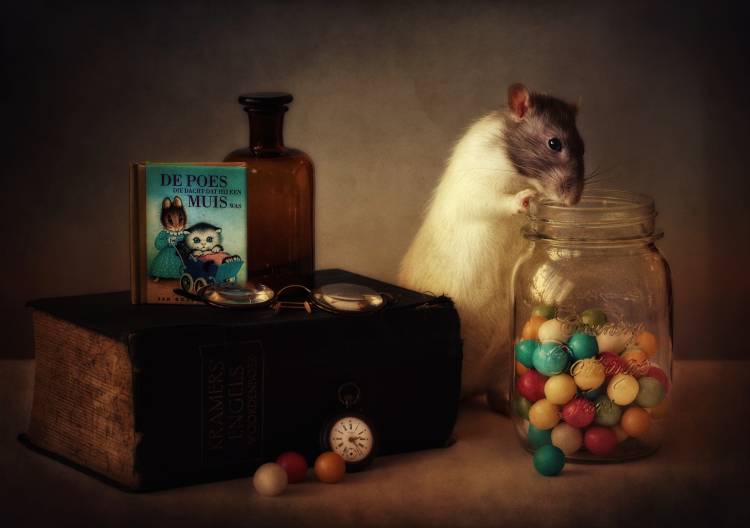 Gumballs (Published in the new 1X Book "Memento".) von Ellen Van Deelen