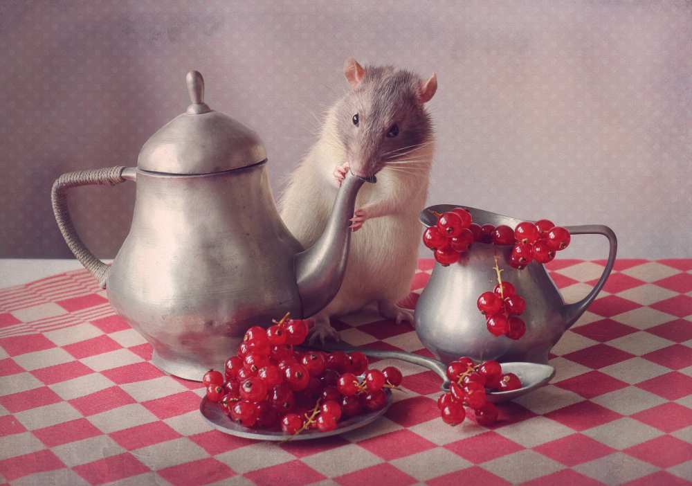 Snoozy (again) von Ellen Van Deelen