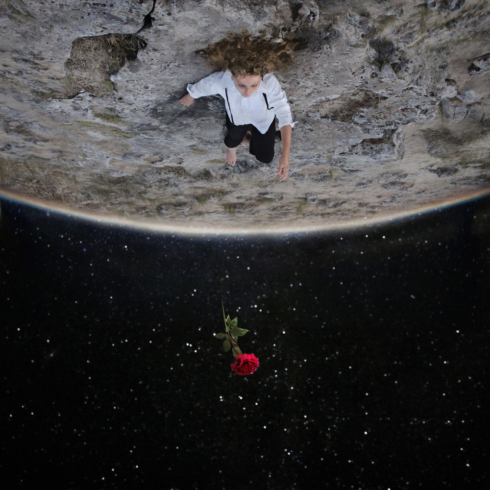 "Cest ma rose" von ElyzaLy