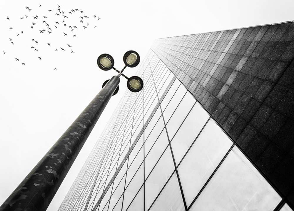 Straight to the sky von EM-Photographies