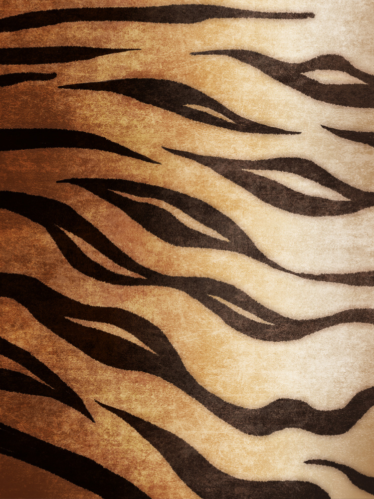 Tiger von Emel Tunaboylu