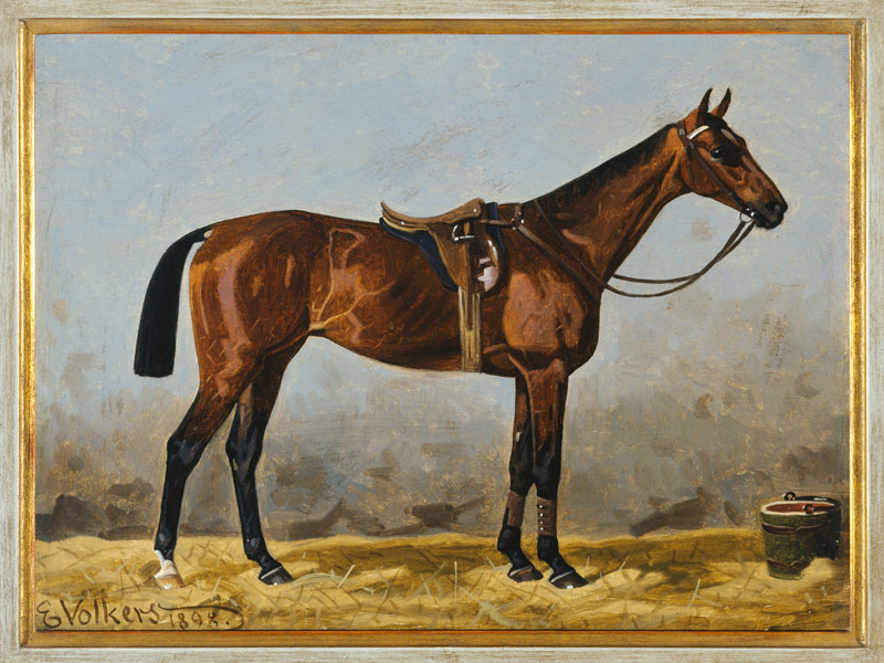 Gesattelter Brauner von Emil Volkers