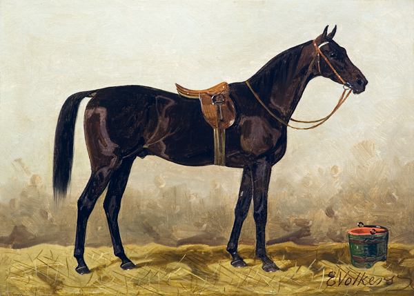Gesattelter Rappe, undatiert. von Emil Volkers