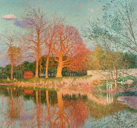 Kastanienbaum in der Abendsonne