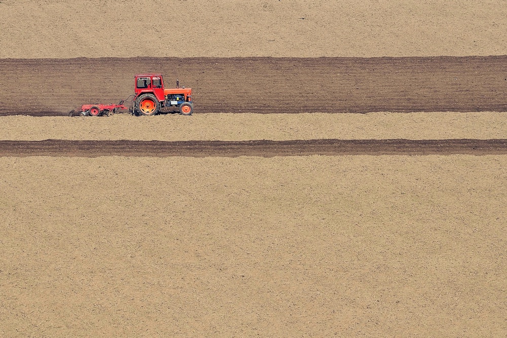Agricultural Minimalism von Emilian Avramescu