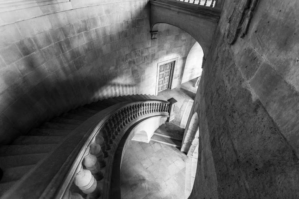 Renaissance's vanguardism von Emilio Pino