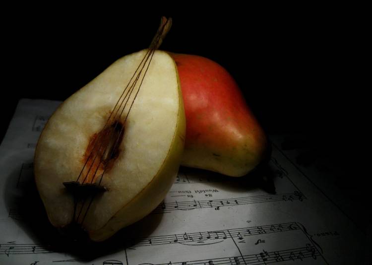 still life von Emine Basa