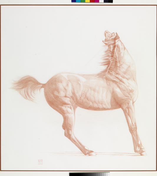 Kicking Off, Series 1 von Emma Kennaway