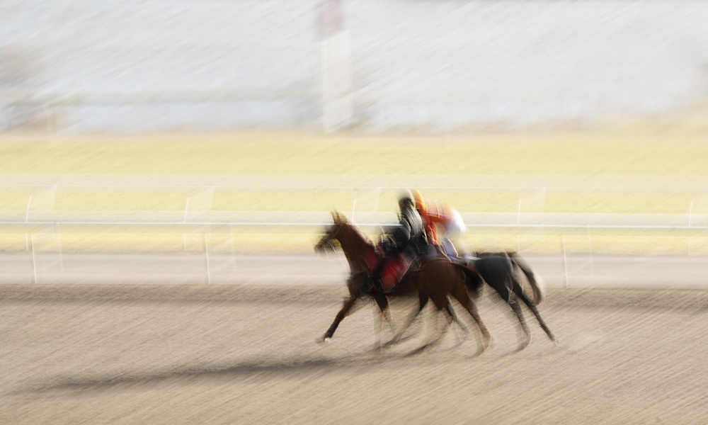 Horse Racing von Emma Zhao