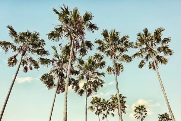 California von Emmanuel Charlat