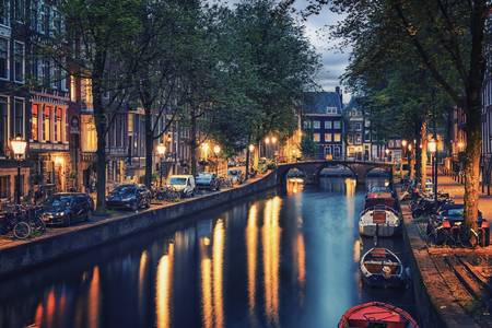 Evening Lights in Amsterdam