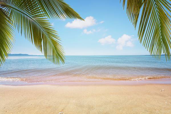 Tropical Landscape von Emmanuel Charlat