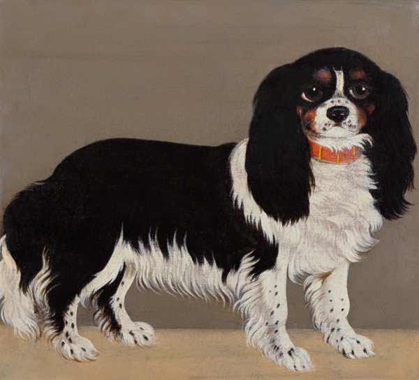 A Cavalier King Charles Spaniel (pair of 64045) von English School