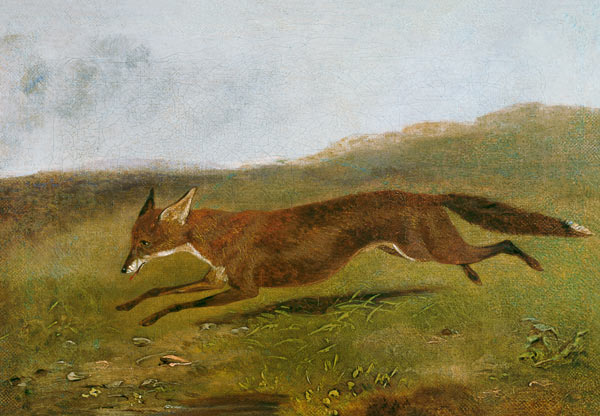 The Fox von English School