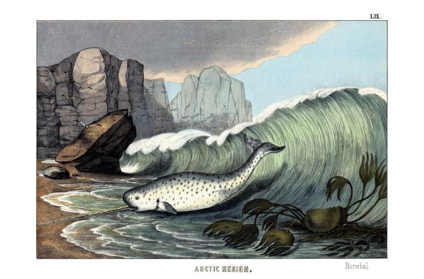  English School, (19th century)