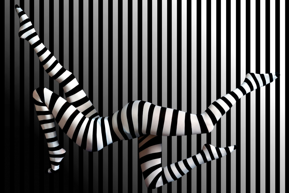 Novelty striped four-leggs No 2 von Erhard Batzdorf