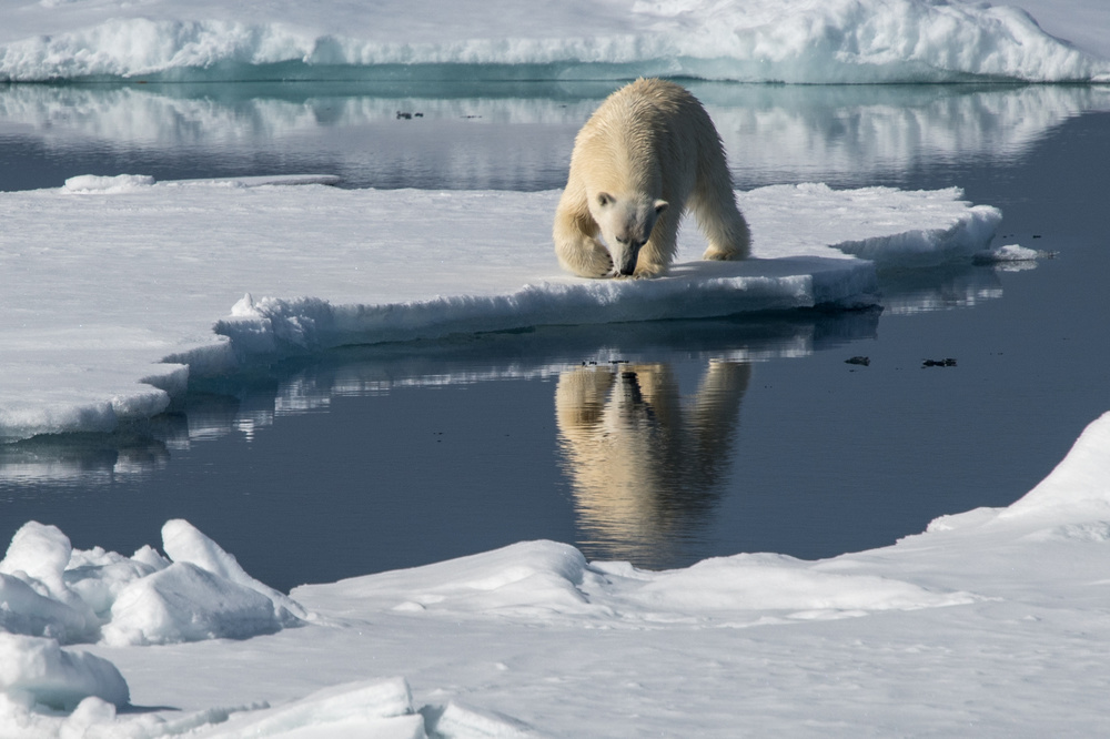 in the mirror von Erhard Bewernick