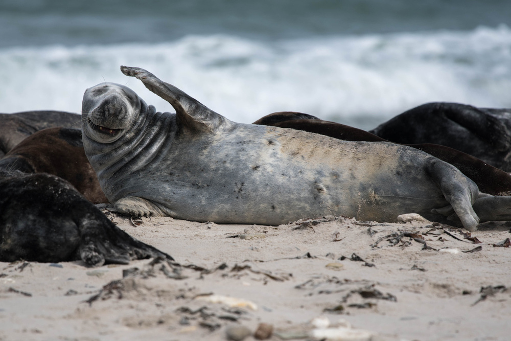 a headache von Erhard Bewernick