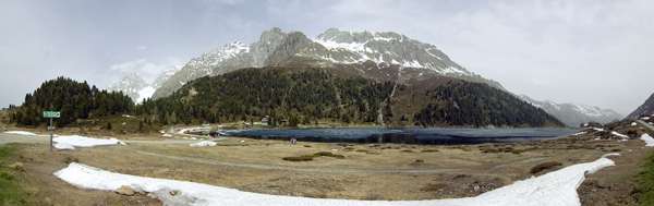 Staller Sattel von Erich Teister