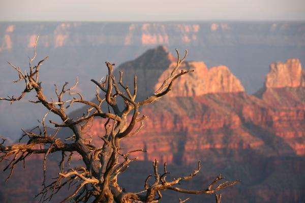 Abendstimmung am Grand Canyon von Erich Teister