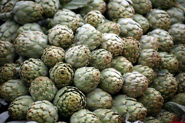 Artischocken von Erich Teister