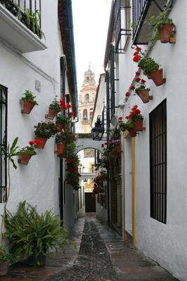 Gasse in Cordoba von Erich Teister
