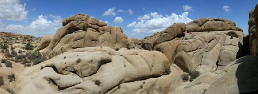 Wonderland of Rocks - Joshua Tree NP von Erich Teister
