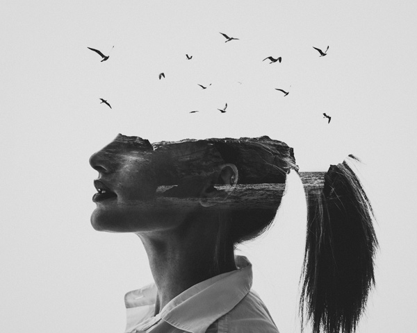 Zephyr von Erkin Demir