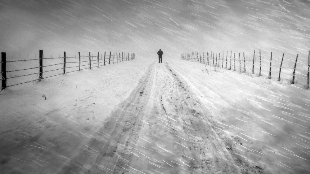 Fargo von Ertekin Totic