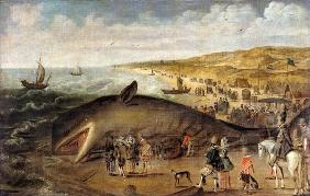 Ein Wal, 1617 zwischen Scheveningen und Katwijk gestrandet.