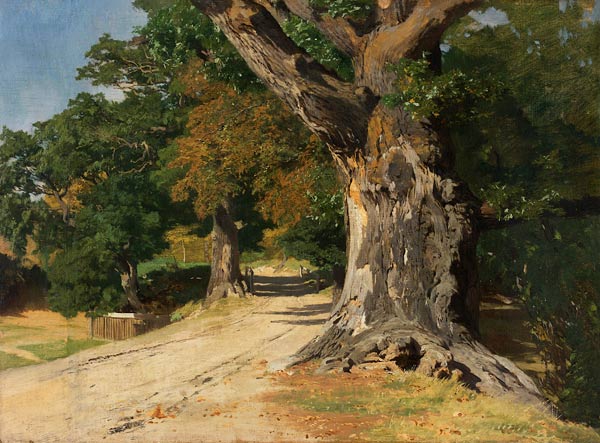 Studie eines großen Eichenstammes am Wegesrand von Eugen Dücker