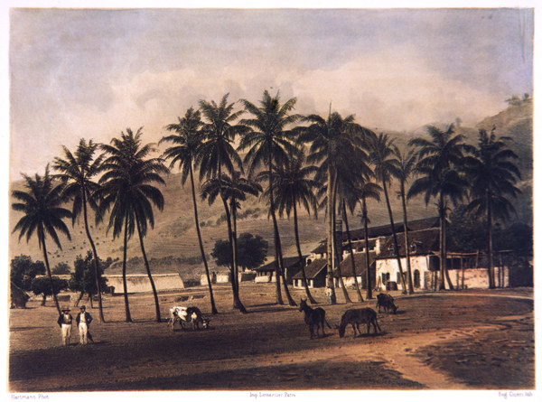 Zuckersiederei Canonville ,  nach Photographie von Hartmann von Eugène Ciceri