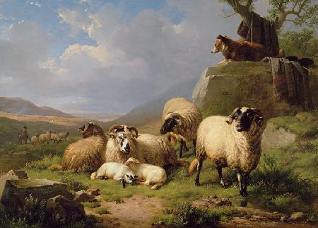 Sheep in a Landscape