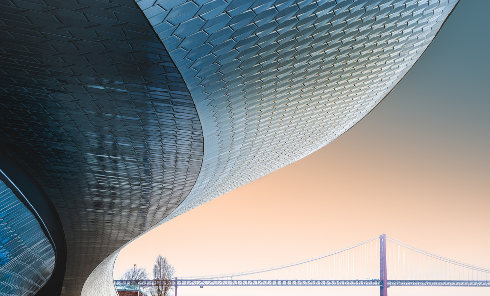 The Shell von Eugenio Pastor Benjumeda